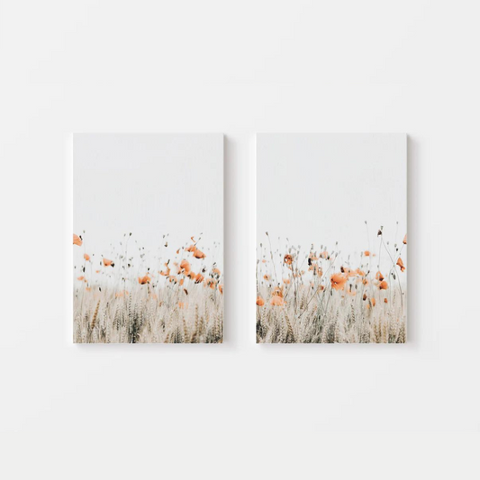 Poppies Canvas