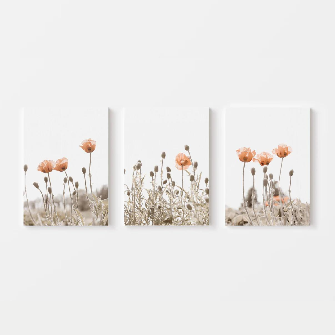 Minimalist Poppies Canvas