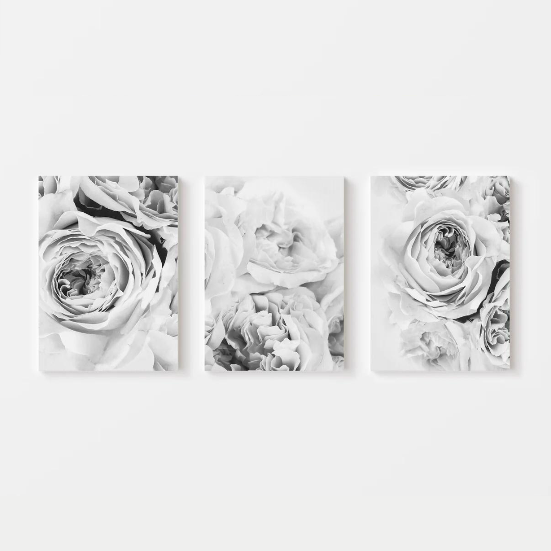 Black White Peony Canvas