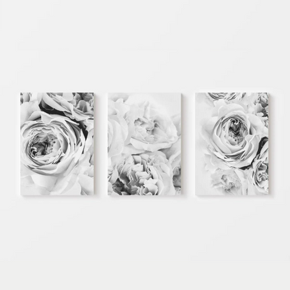 Black White Peony Canvas