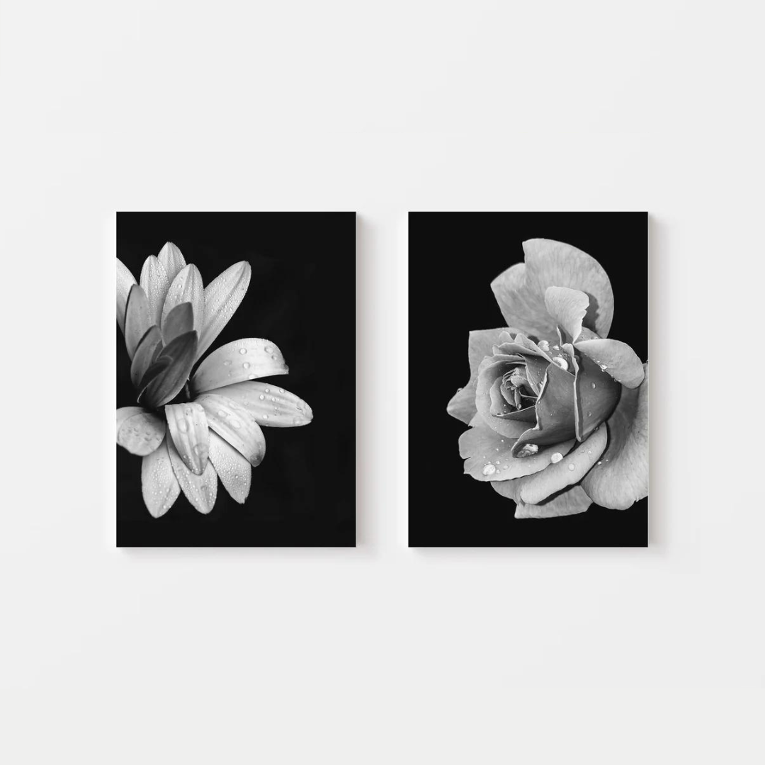 Black Rose Canvas