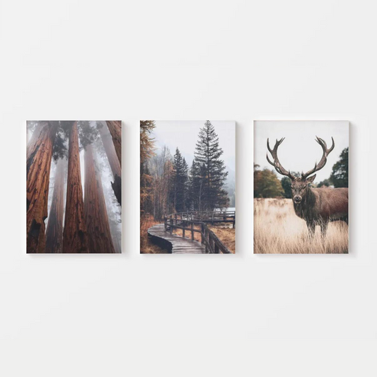 Autumn Deer Canvas