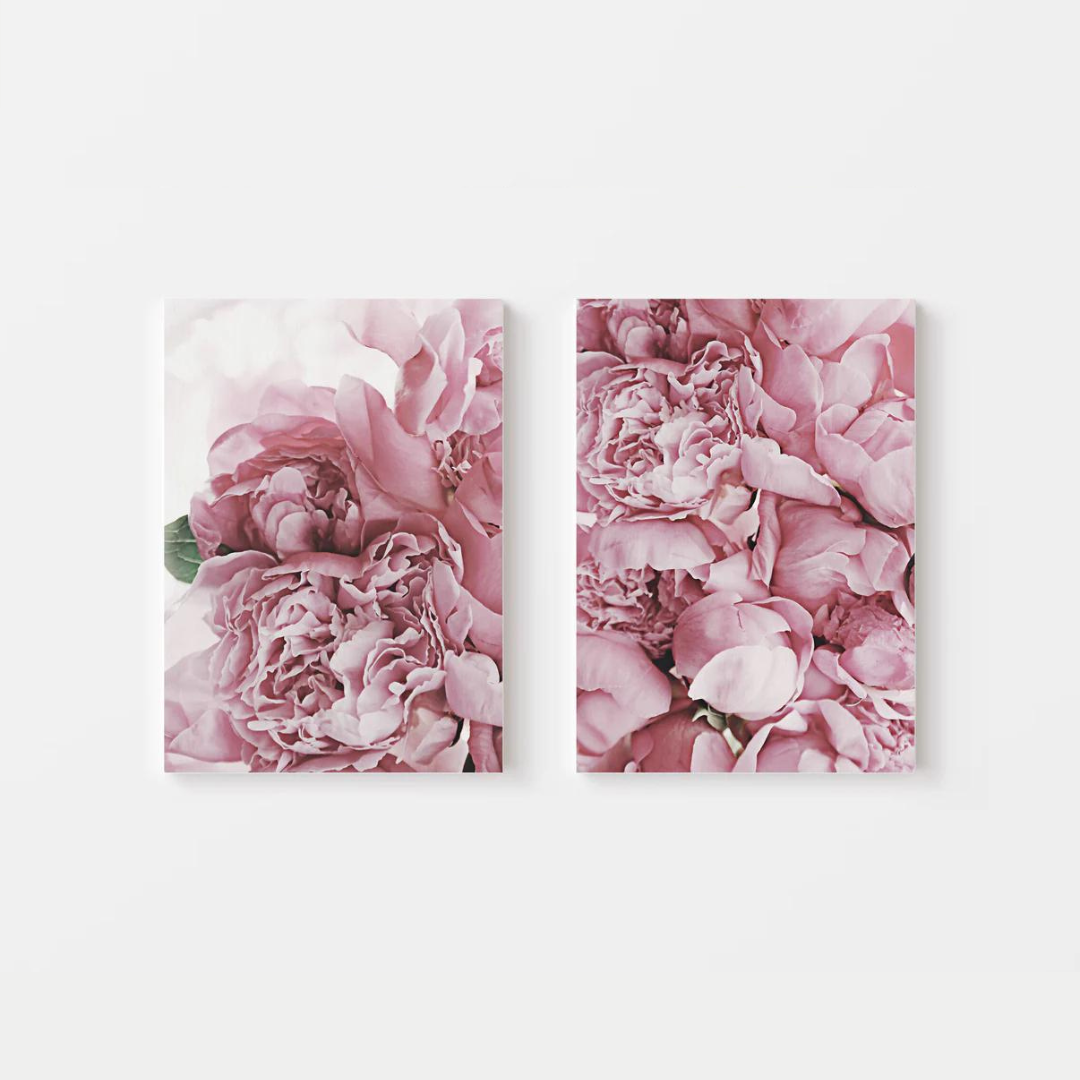 Peonies Canvas