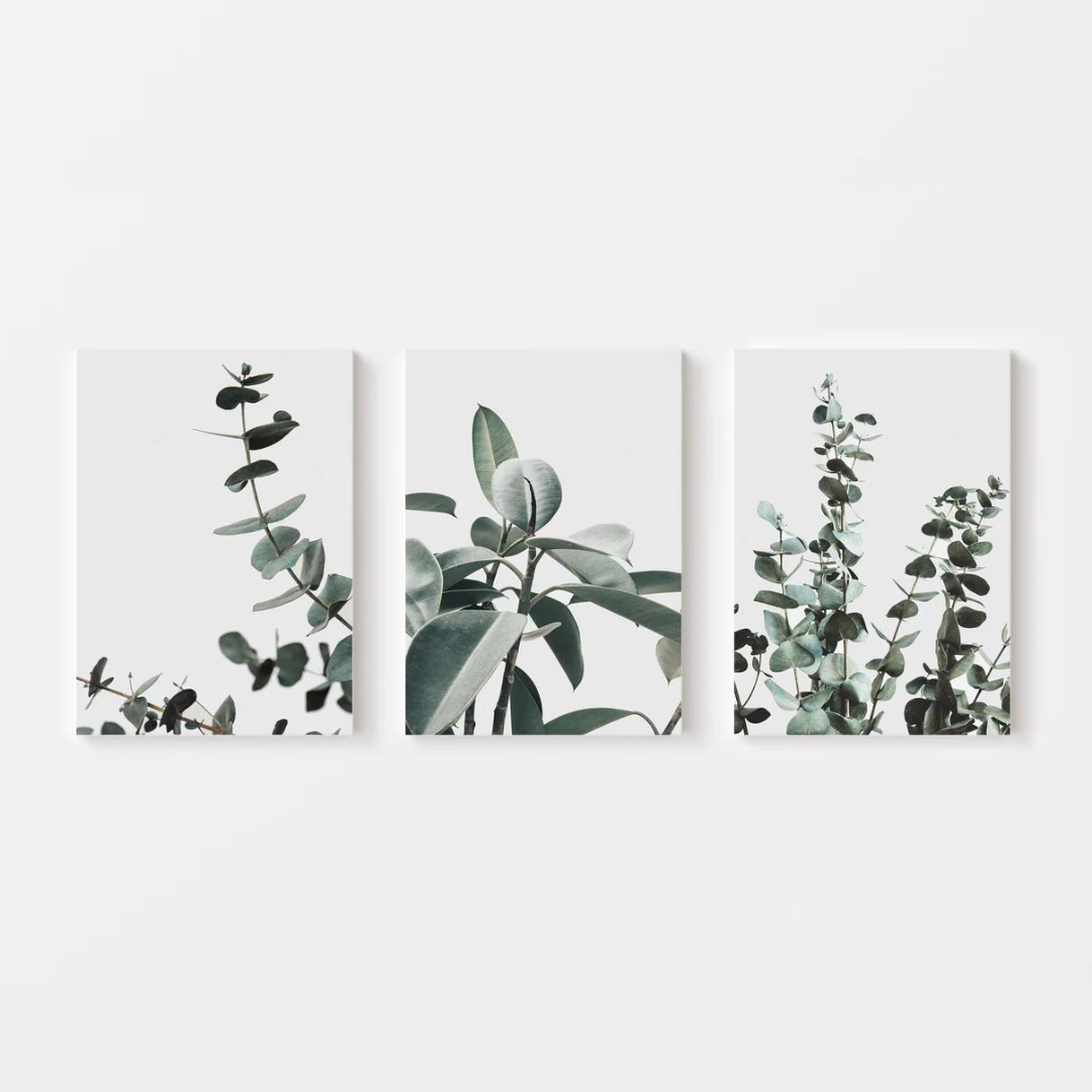 Botanical Eucalyptus Canvas