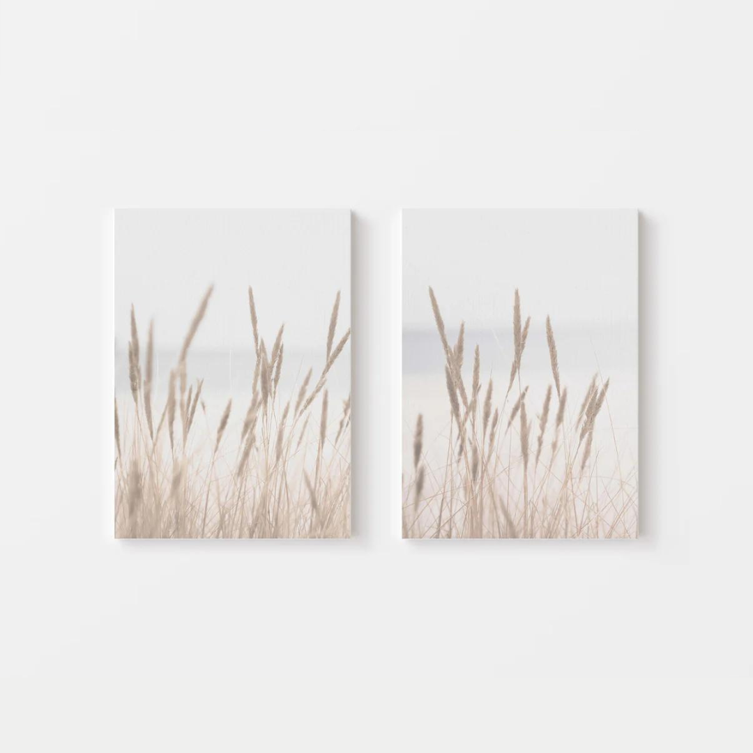 Dried Grass Canvas