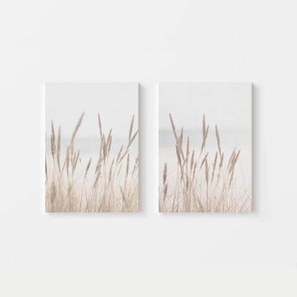 Dried Grass Canvas