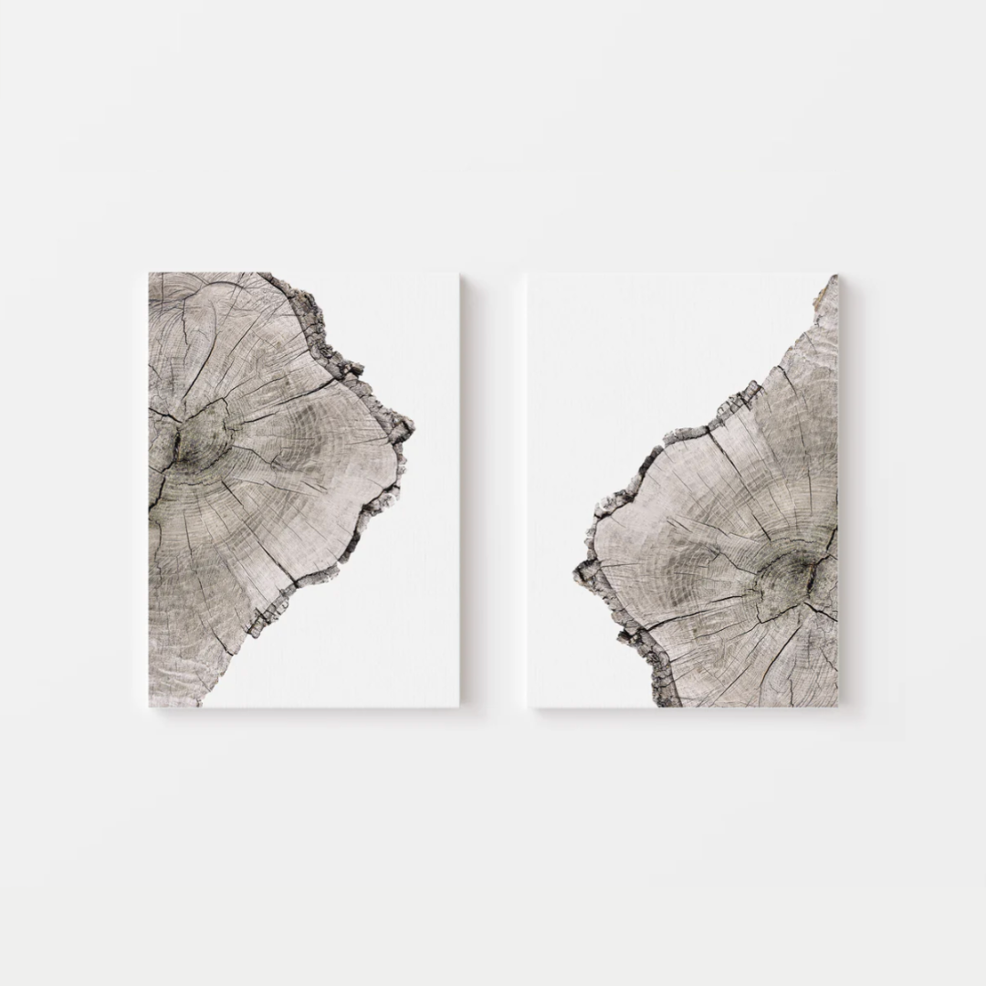 Tree Rings Canvas