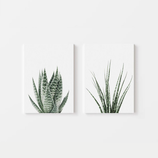 Cactus Canvas