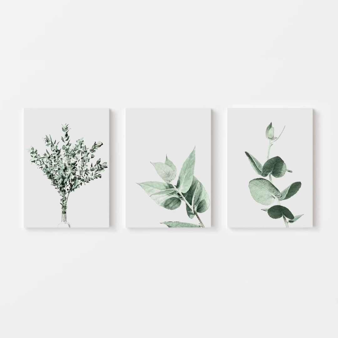 Eucalyptus Canvas