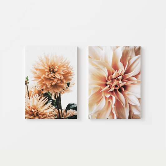 Dahlia Canvas