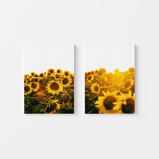 Sunflower Canvas