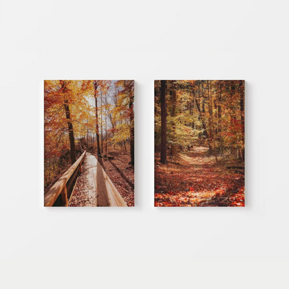 Fall Forest Canvas