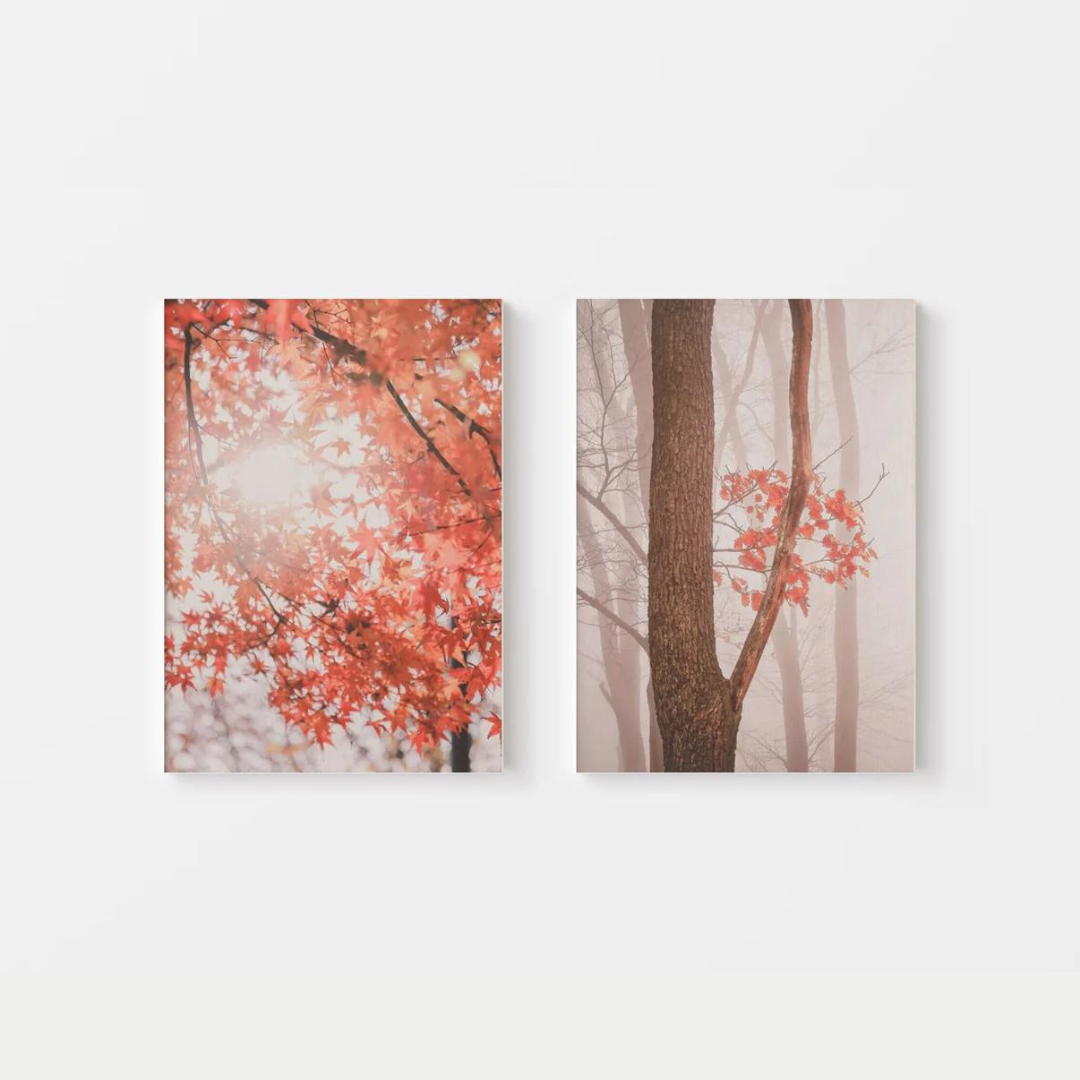 Fall Leaves Canvas