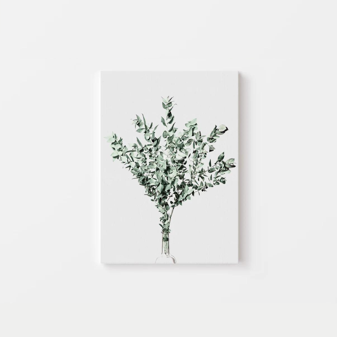 Eucalyptus Canvas