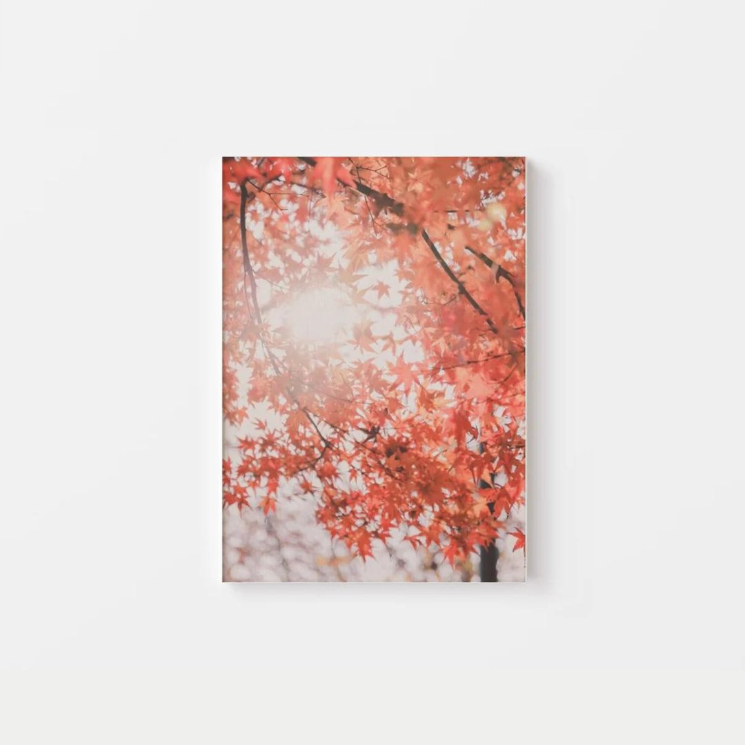 Fall Leaves Canvas