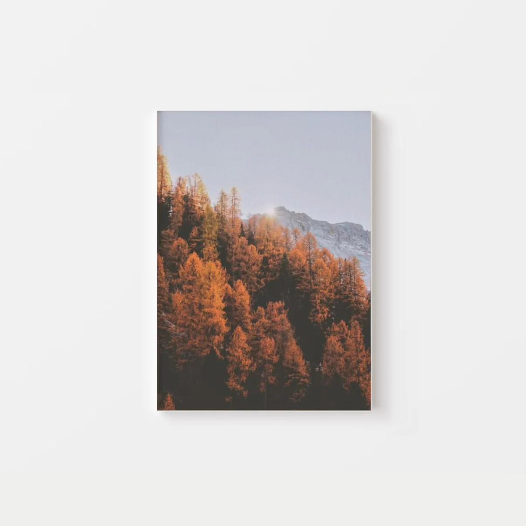 Autumn Forest Canvas