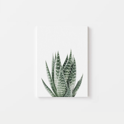 Cactus Canvas