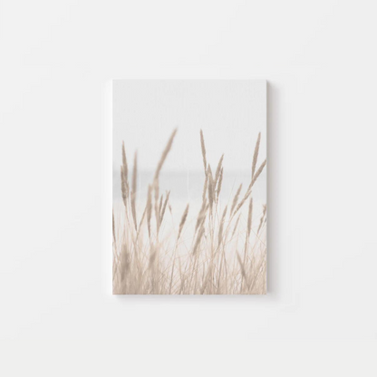 Dried Grass Canvas