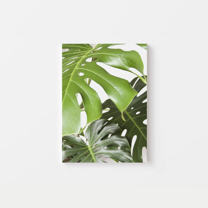 Tropical Leaves Canvas