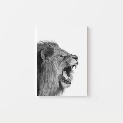 Black And White Lion Canvas