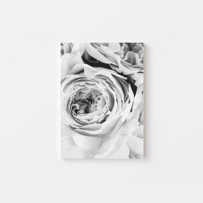 Black White Peony Canvas