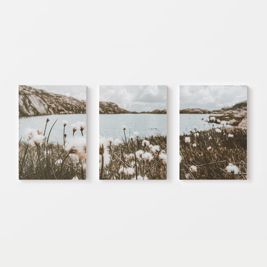 Dandelion Mountain Canvas