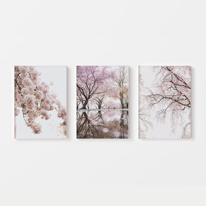 Sakura Cherry Blossom Canvas