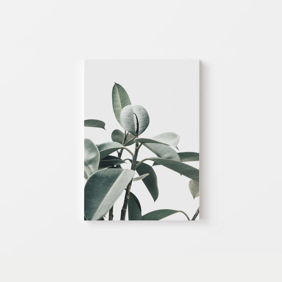 Botanical Eucalyptus Canvas