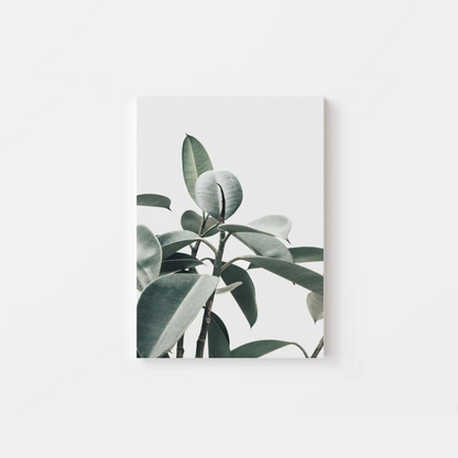 Botanical Eucalyptus Canvas