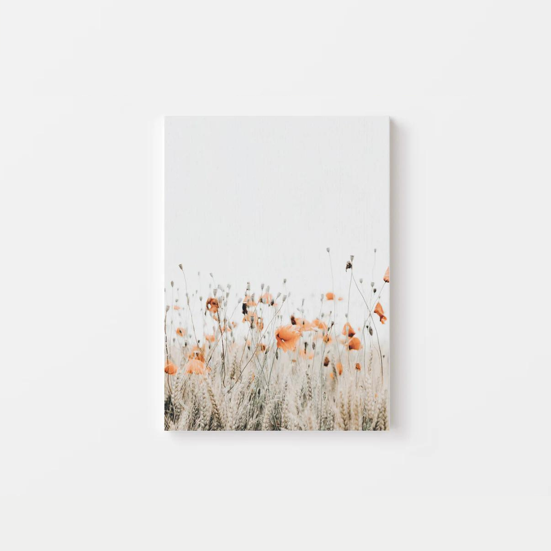 Poppies Canvas