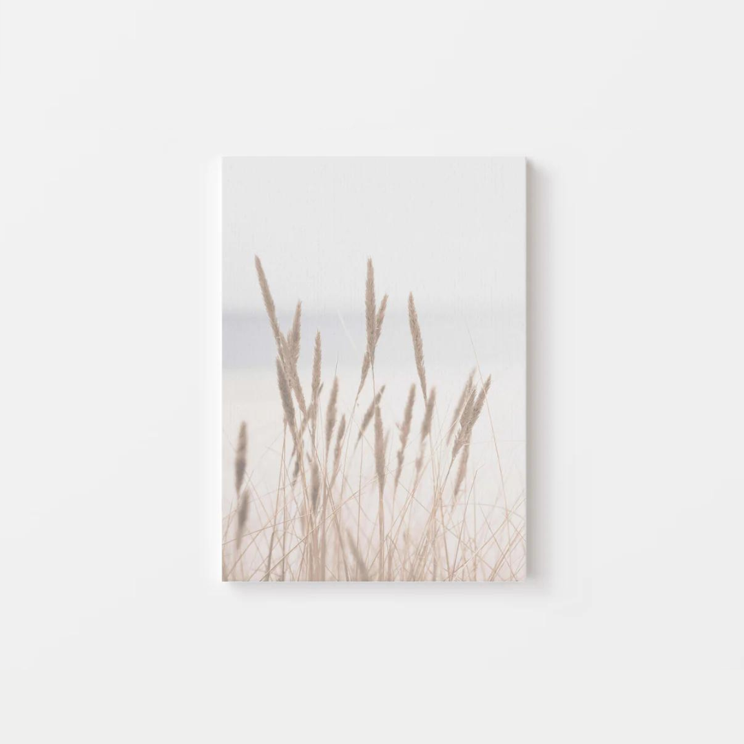 Dried Grass Canvas