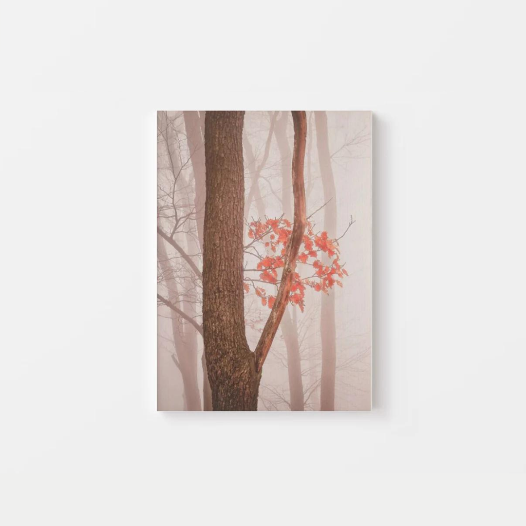 Fall Leaves Canvas