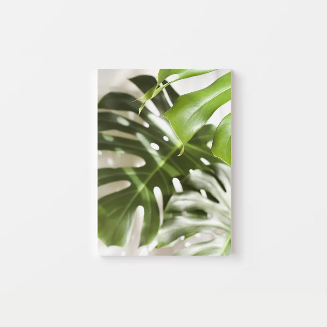 Tropical Leaves Canvas