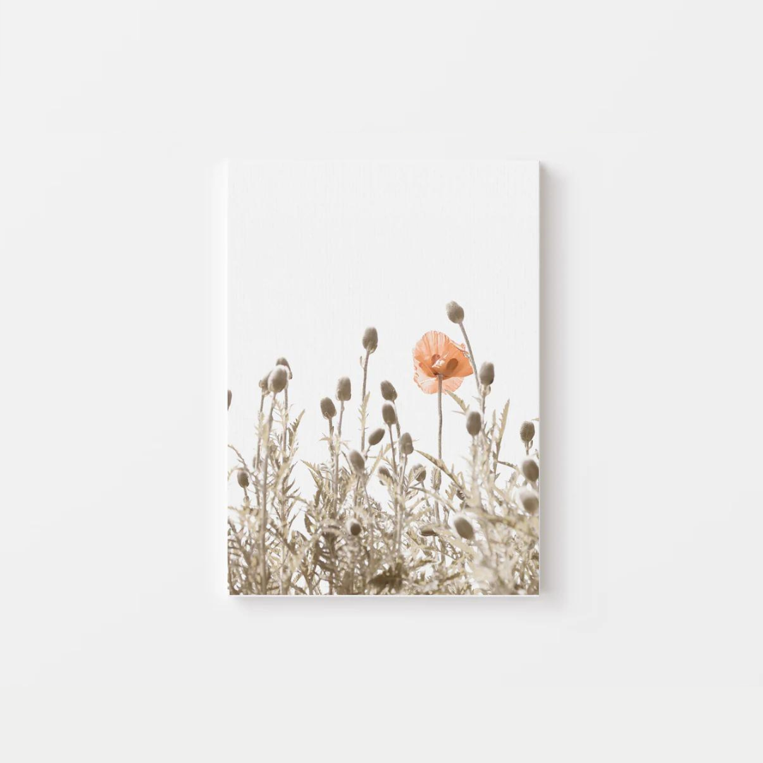 Minimalist Poppies Canvas