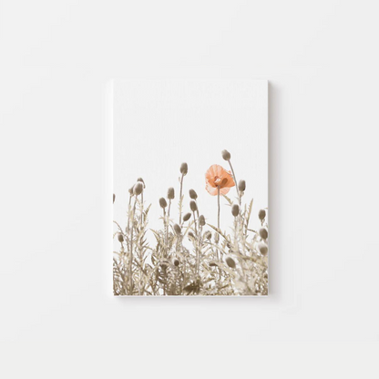 Minimalist Poppies Canvas