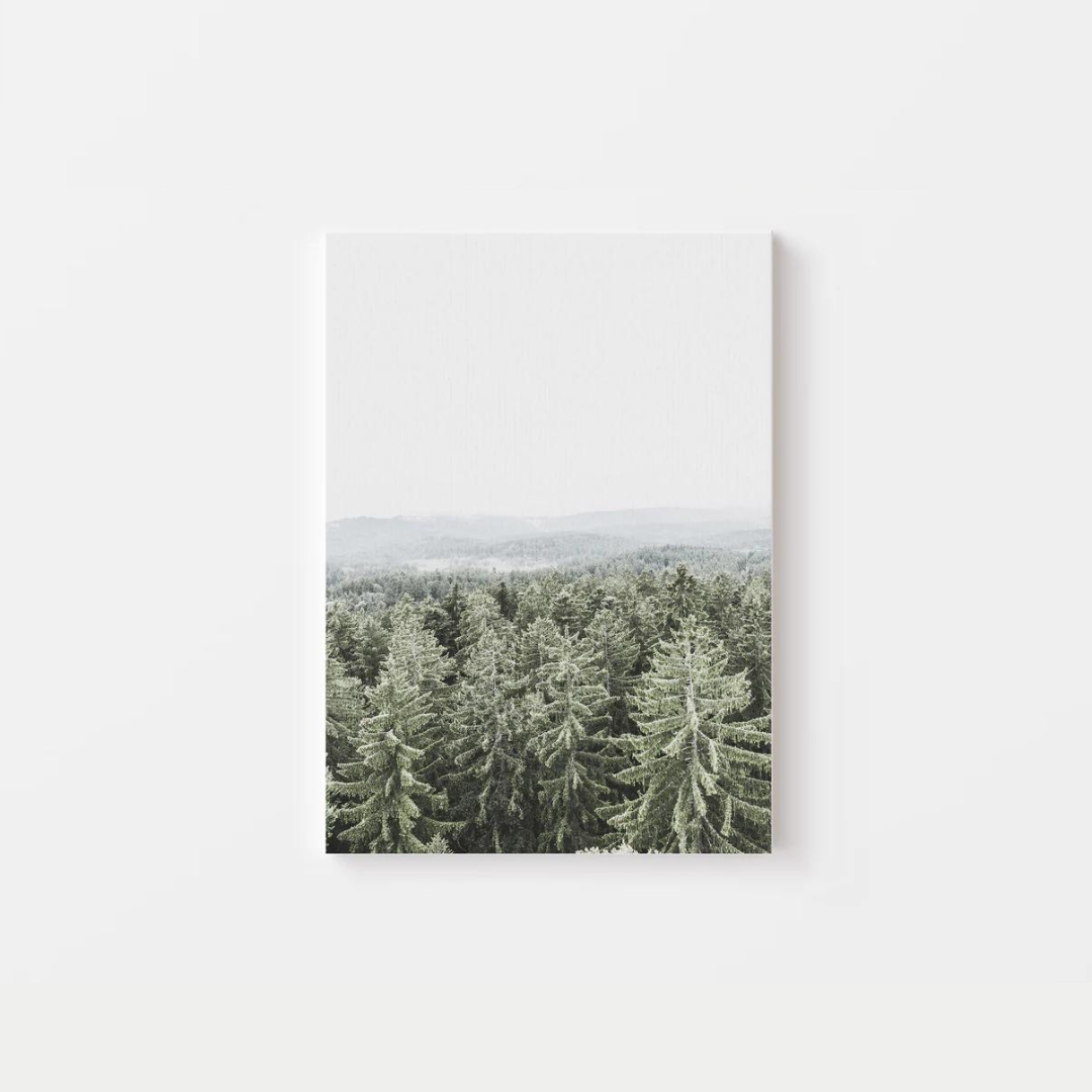 Nature Pine Trees Canvas