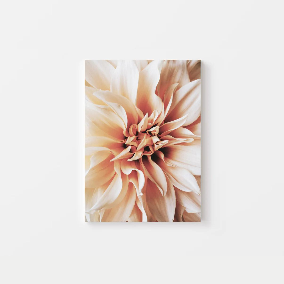 Dahlia Canvas