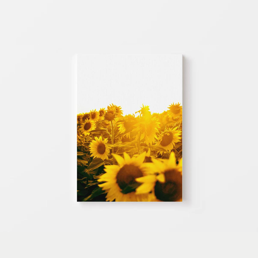 Sunflower Canvas