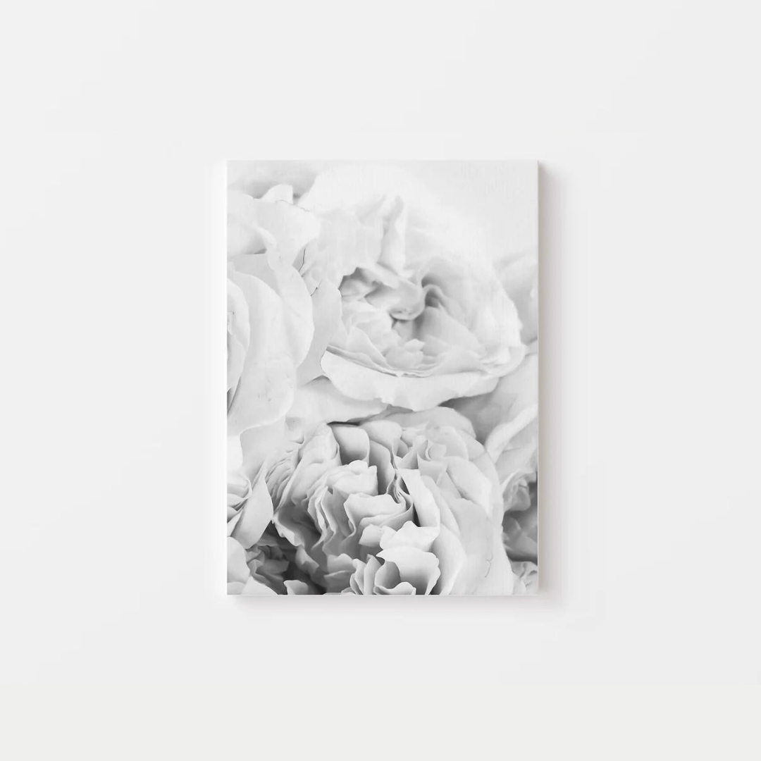 Black White Peony Canvas