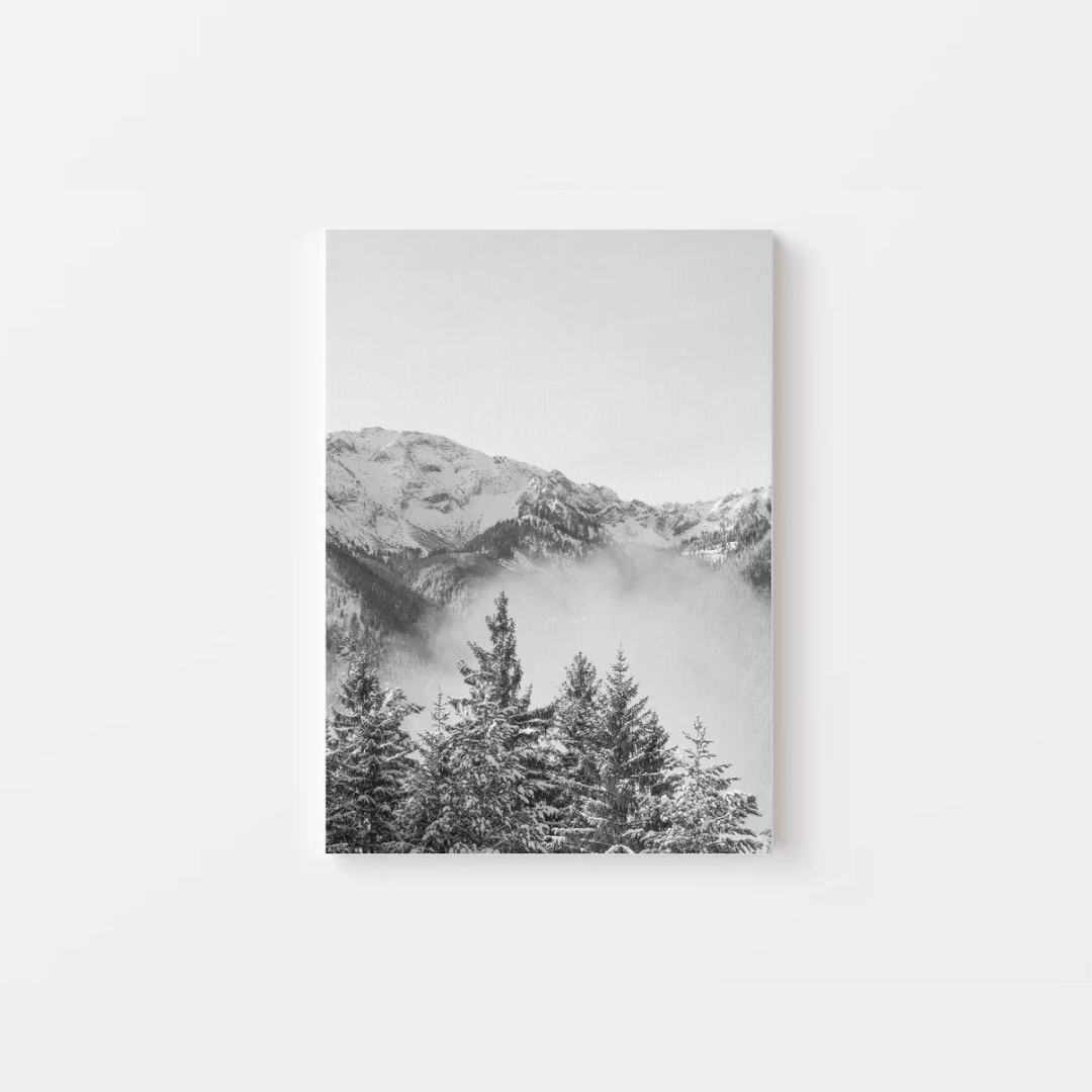 Black And White Mountains Canvas