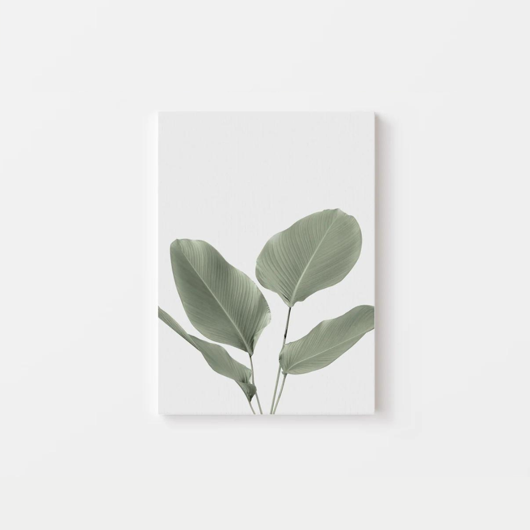 Tropical Banana Leaf Canvas