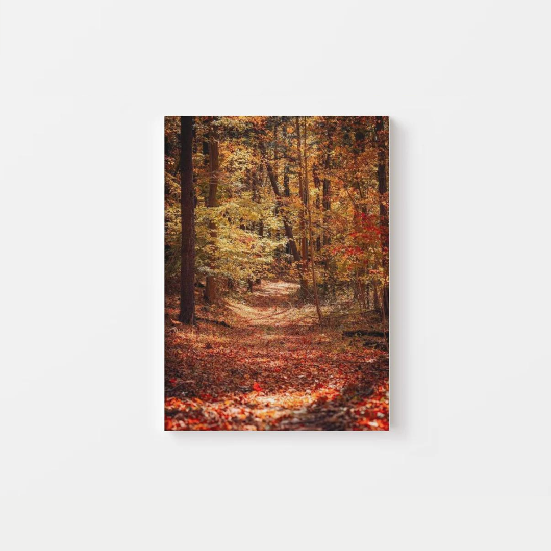 Fall Forest Canvas