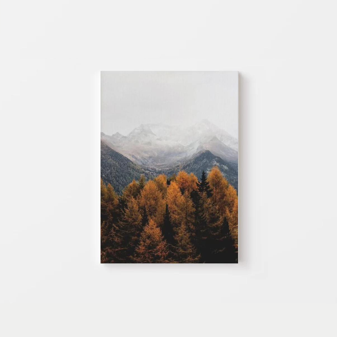 Autumn Forest Canvas