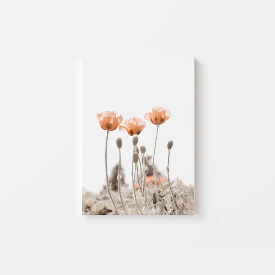 Minimalist Poppies Canvas