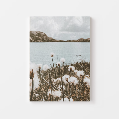 Dandelion Mountain Canvas