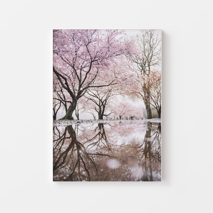 Sakura Cherry Blossom Canvas