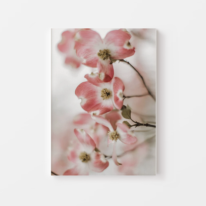 Cherry Blossom Flowers Canvas