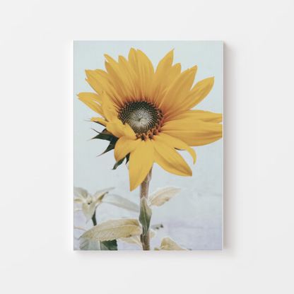 Botanical Sunflower Canvas