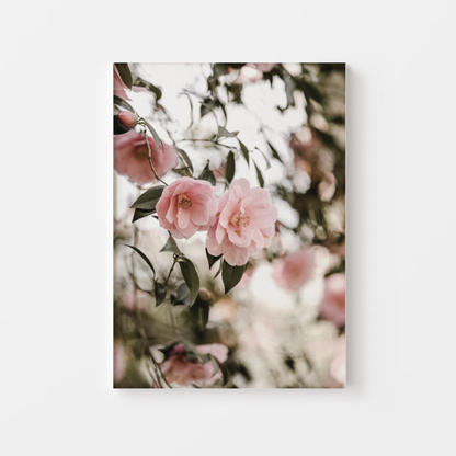 Cherry Blossom Flowers Canvas