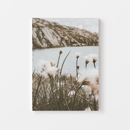 Dandelion Mountain Canvas